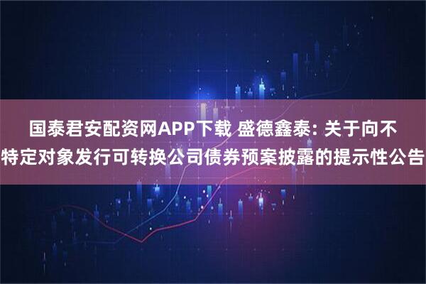 国泰君安配资网APP下载 盛德鑫泰: 关于向不特定对象发行可转换公司债券预案披露的提示性公告