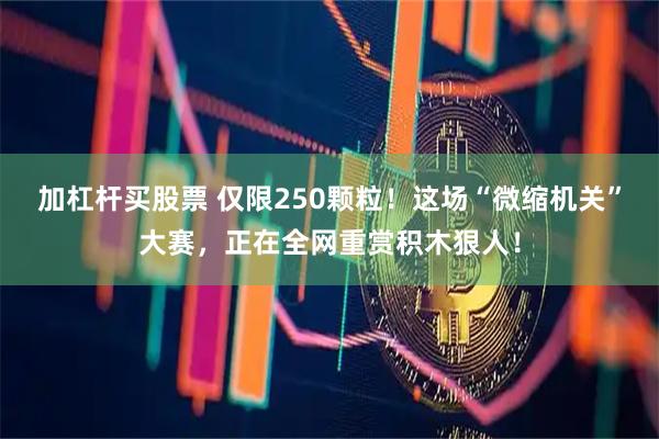 加杠杆买股票 仅限250颗粒！这场“微缩机关”大赛，正在全网重赏积木狠人！